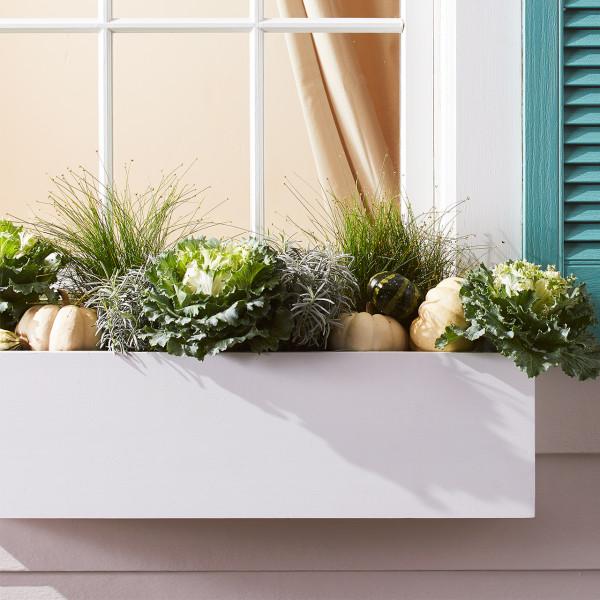 50個庭院植物搭配,幫你設計出絕美的治癒系小花園,收藏啦 50個庭院植物搭配,幫你設計出絕美的治癒系小花園,收藏啦