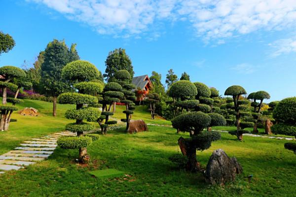 彌勒太平湖森林木屋酒店是最好的休閒、度假、養生天堂 彌勒太平湖森林木屋酒店是最好的休閒、度假、養生天堂