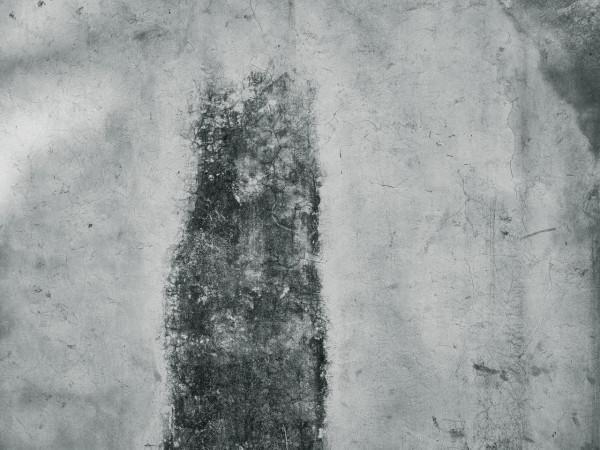 小米12 Pro對比小米12，攝影精選