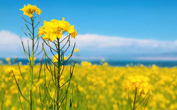 人生修為：遭受挫折者，貴在不忘初心；功成名遂者，貴在慎終如始