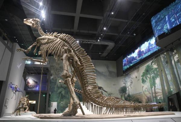 白堊紀山東恐龍全揭秘，山東博物館備齊大展迎春節