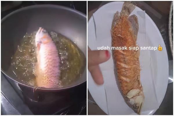 懶人丈夫不肯清洗魚缸，妻子怒把“超貴紅龍魚”當晚餐