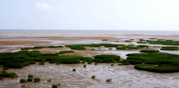 美麗的風景線——贛榆金海岸