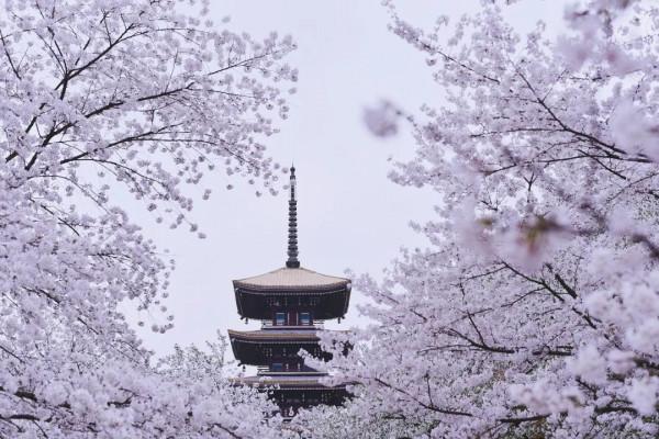 2022年最全旅行清單出爐：欠自己的旅行該還了