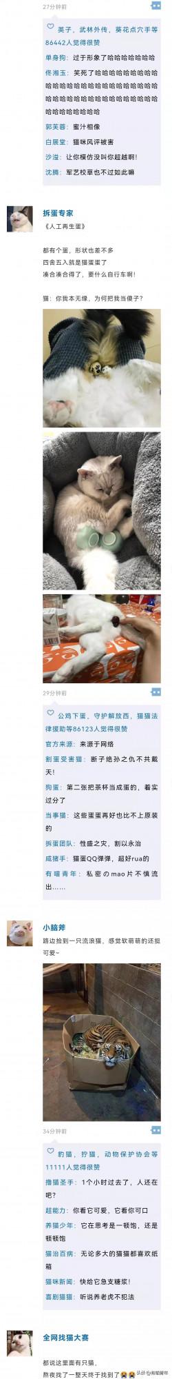 把貓P成玲娜貝兒，有億點點醜…（內附醜圖）