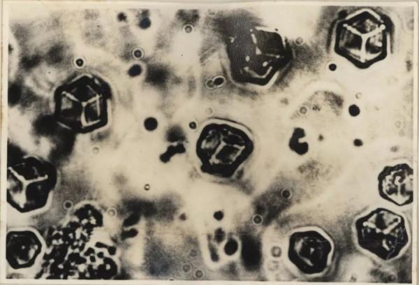 世紀遺憾！中國差點就得諾貝爾化學獎了