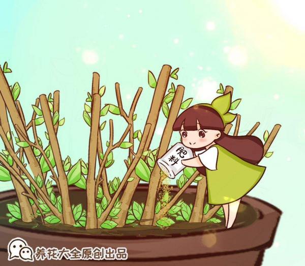 植株“中暑”如何救治？教你從4個方面出手，分分鐘“妙手回春”