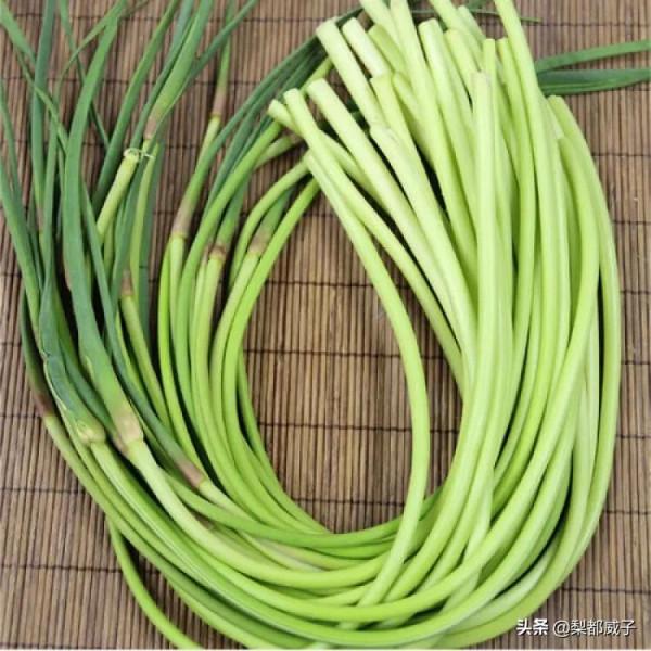 炒蒜臺炒肉時,記住這一步,讓你炒出來的蒜臺脆綠斷生更入味 炒蒜臺炒肉時,記住這一步,讓你炒出來的蒜臺脆綠斷生更入味