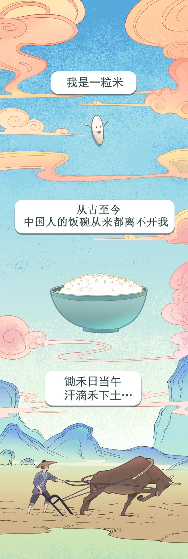 長條漫畫《一粒米的旅程》