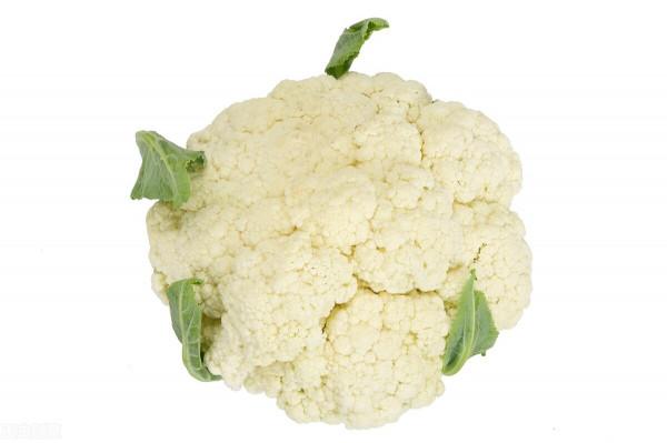 進行瘦身時可以敞開來吃的7種食物