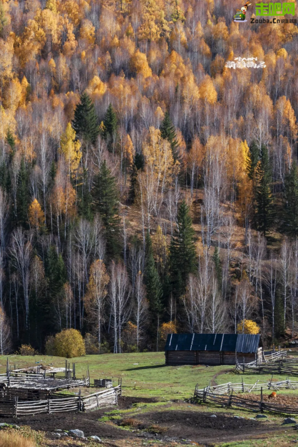 1028名日本人報名遊新疆？新疆顏值實錘了，一年四季，美麗不停歇