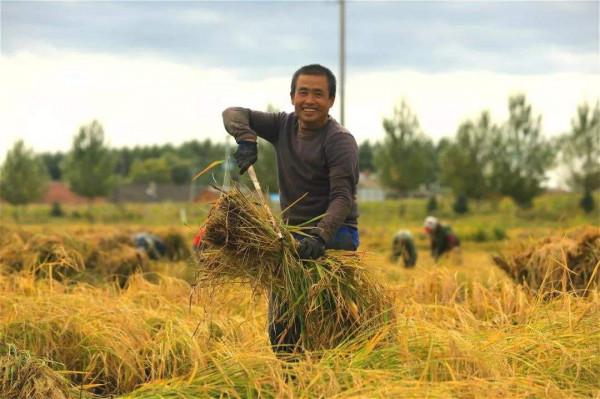 她一輩子沒有再嫁人，獨自拉扯兩個孩子，這個女人不容易