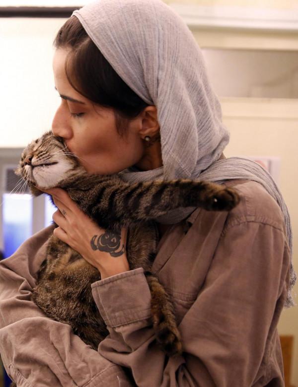 德黑蘭的貓咪咖啡館