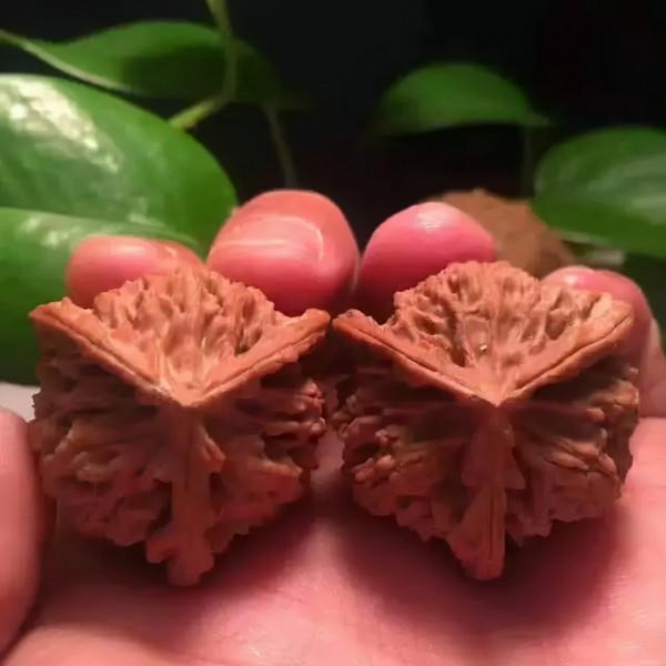 油亮如漆，盤核桃小技巧