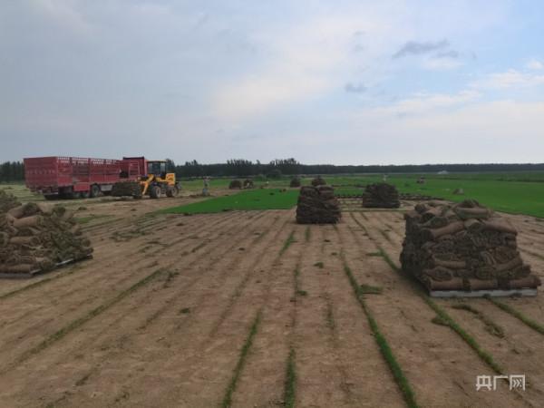 河南部分農村土地流轉失控現象調查