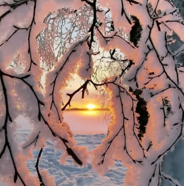 66張治癒強迫症的完美圖片，看完整個人都舒服了