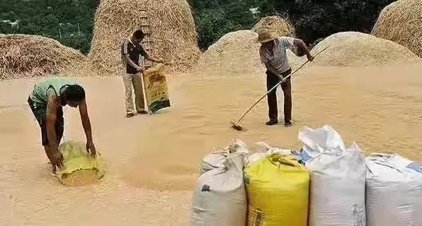 鄉土情：生產隊時期怎樣過大年的，年味為什麼那麼濃