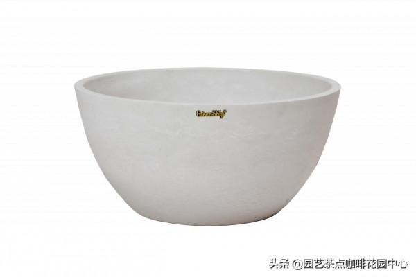 水培水仙花，你學廢了嗎？