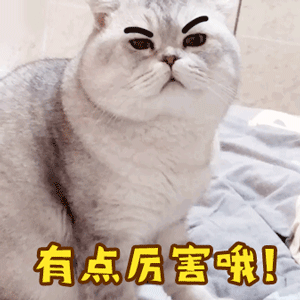 昌平這處“中軸線綠寶石”超大公園密集開建！還有一騰退推進中