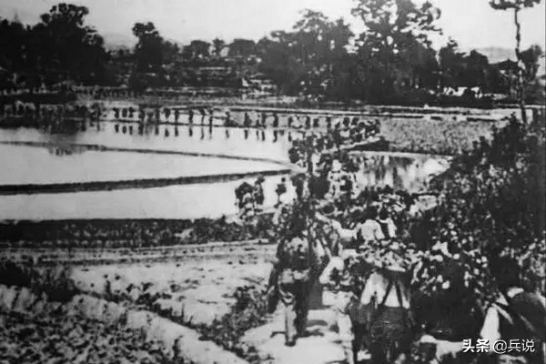 新四軍幹部之妻，被桂軍綁在樹上殘殺，解放後兇手病死獄中