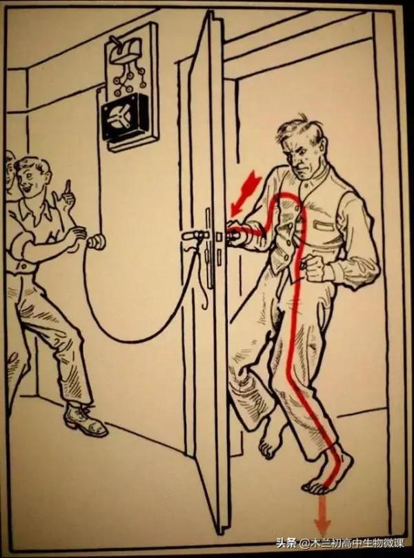 科普漫畫：物理老師來給咱講講這些觸電都是咋產生的，如何避免？