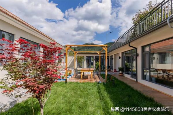 平谷金海湖核桃里民宿被評最具京味兒，只因一顆核桃樹刷爆朋友圈