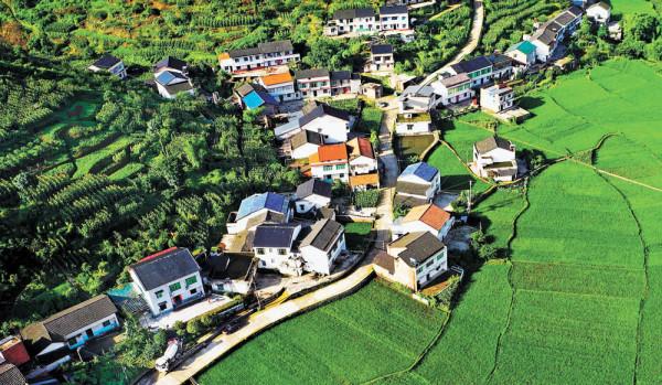 2021年中國經濟觀察：鄉村振興闊步前行