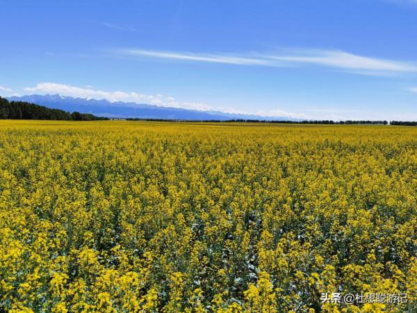 漢EV自駕新疆，昭蘇玉湖景區是很少遊客到來的地方，真的美