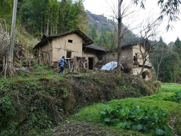 我對農村有感情等我老了 回農村養老 我對農村有感情等我老了 回農村養老