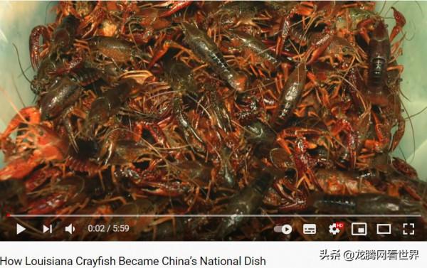 「龍騰網」路易斯安那小龍蝦是怎麼成為“中國國民美食”的? 「龍騰網」路易斯安那小龍蝦是怎麼成為“中國國民美食”的?