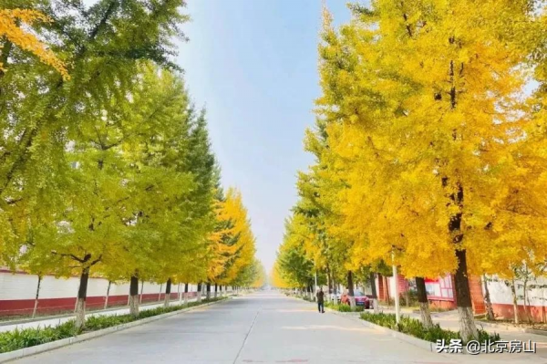 秋意濃,房山紅 !千年遺蹟、稻田荷花…第4波秋景等你去賞閱! 秋意濃,房山紅 !千年遺蹟、稻田荷花…第4波秋景等你去賞閱!