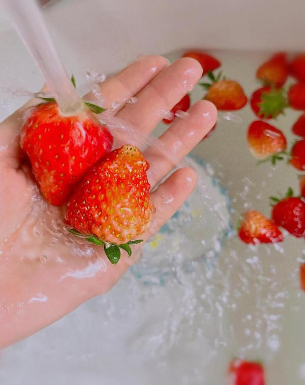 我不怪你春夏秋沒來，但冬至都到了你總該來啦 