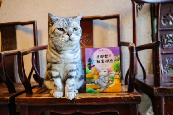 馬都督拍案驚奇