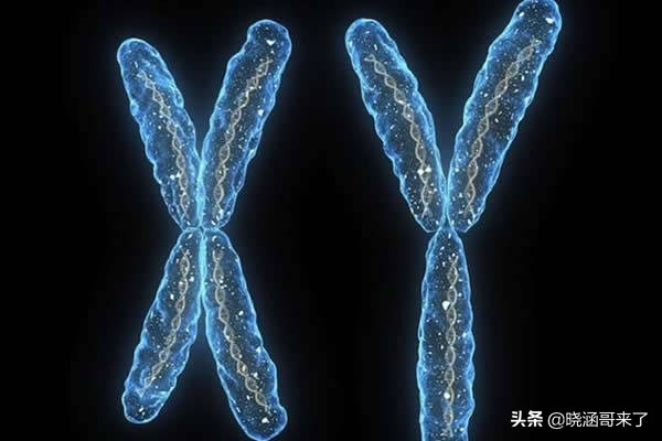 人類是否可以永生？實現永生的幾種方式