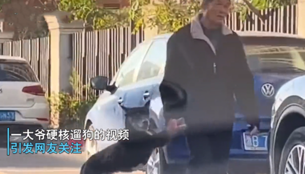 老遠看見老人在帶狗遛彎，湊近看清後卻有些語塞了：真硬核遛狗