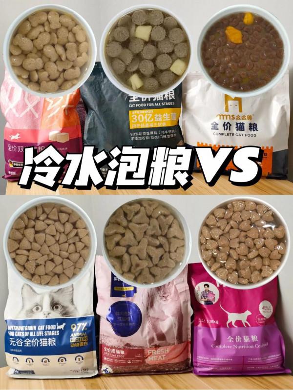 泡水看出貓糧好壞！別說不會選貓糧了
