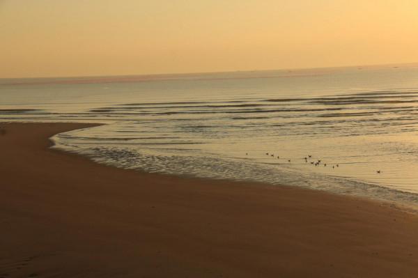 銀杏道的盡頭是大海 銀杏道的盡頭是大海