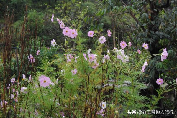 世外桃園——薊州苦梨峪村