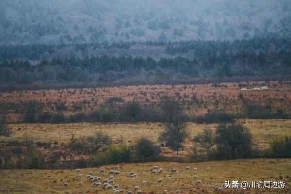 四川的“小肯亞”,不要門票開放,卻有遊客知道 四川的“小肯亞”,不要門票開放,卻有遊客知道