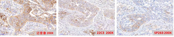 「三」腫瘤精準治療伴隨診斷開發與應用