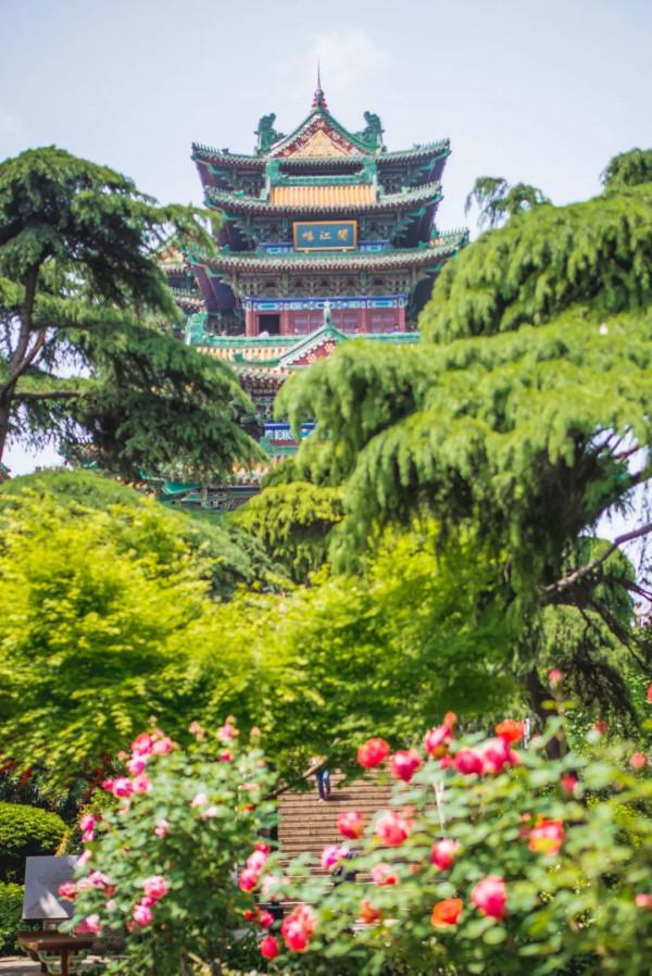 既有悠悠歷史，又有俗世煙火，來南京看看吧