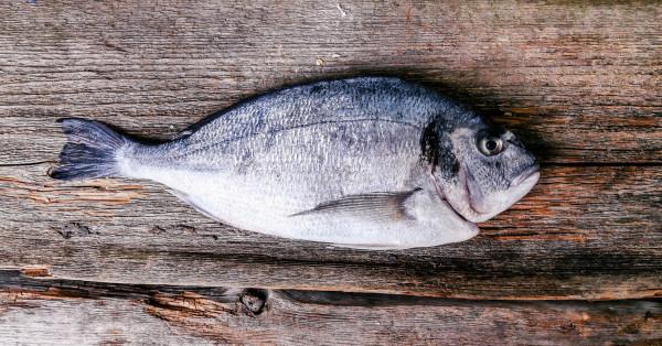 美食也能犯罪？盤點那些和食物有關的國外刑事案件