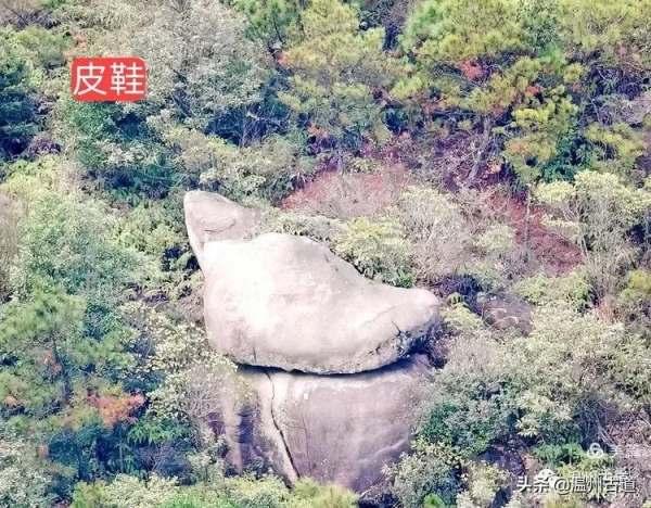 大羅山有處“二師兄”奇石，惟妙惟肖，你可找到過？