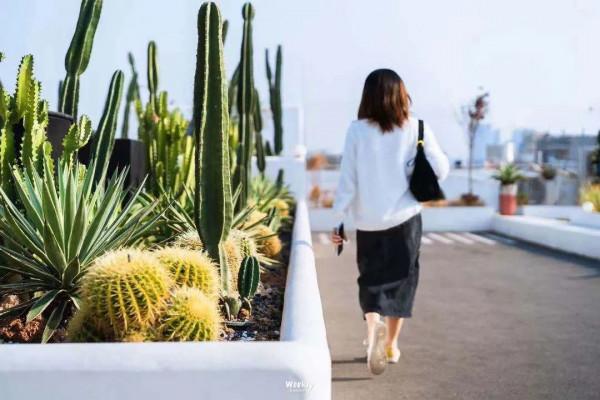 背奶媽媽：躲進公司廁所，為了母乳一邊崩潰一邊堅持