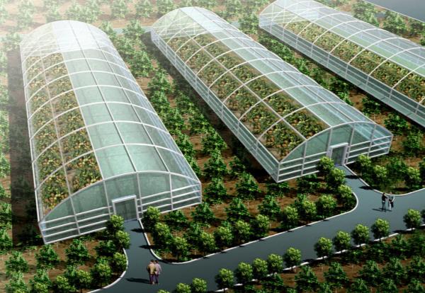 BEOL智慧科技助力農業經濟迅速發展 BEOL智慧科技助力農業經濟迅速發展