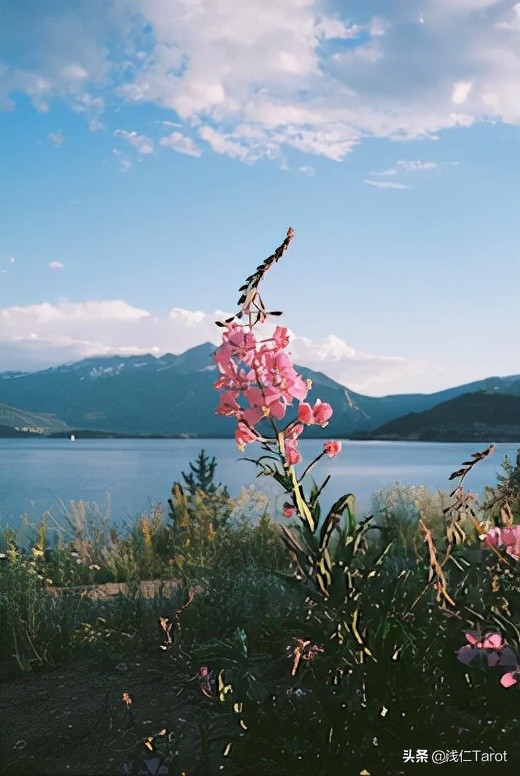 巨蟹座滿月 | 斷舍離,告別過往,迎接新生 巨蟹座滿月 | 斷舍離,告別過往,迎接新生