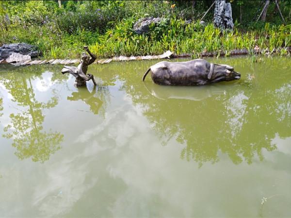 假期時間有空，來公園散散步