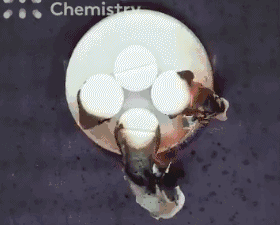 玩轉趣味科學實驗，讓孩子愛上科學