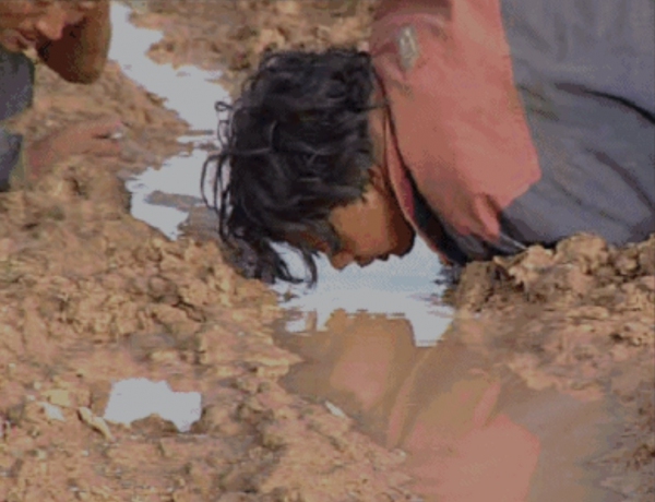 1994年索南達傑被盜獵者殺害,妹夫繼承其遺志,三年後卻中槍身亡 1994年索南達傑被盜獵者殺害,妹夫繼承其遺志,三年後卻中槍身亡