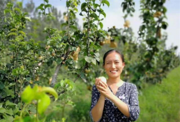 種地年入800萬?清華女博士後石嫣,用13年解鎖中國人種地新模式 種地年入800萬?清華女博士後石嫣,用13年解鎖中國人種地新模式